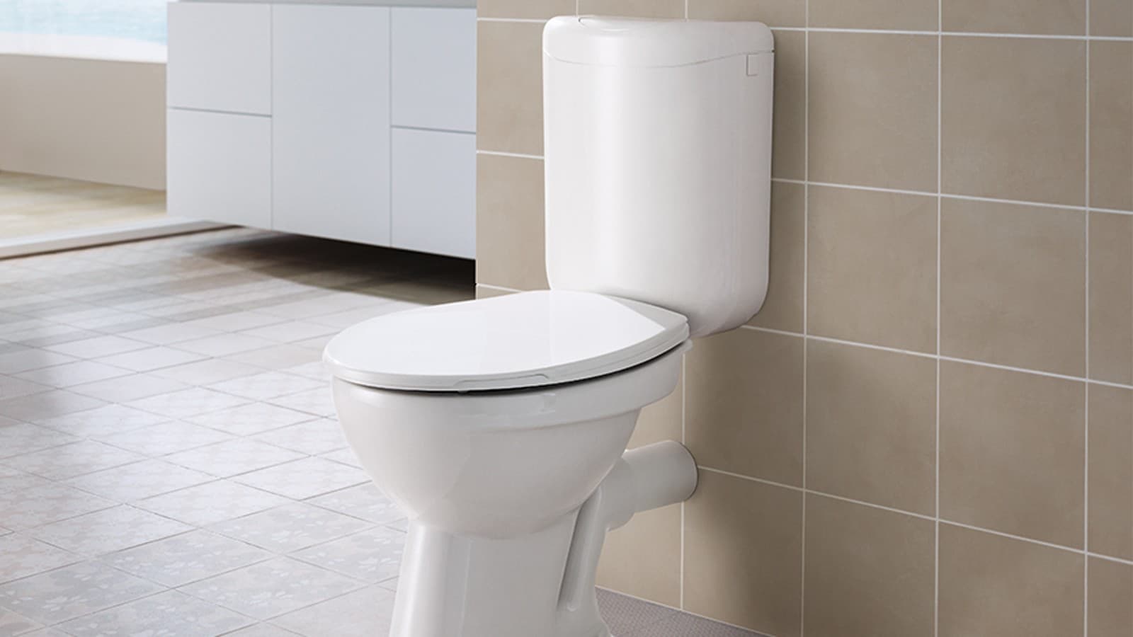Geberit exposed cistern with dual flush